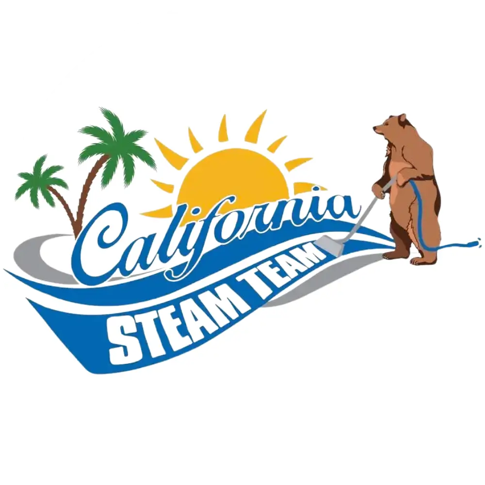 California Steam Team Favicon